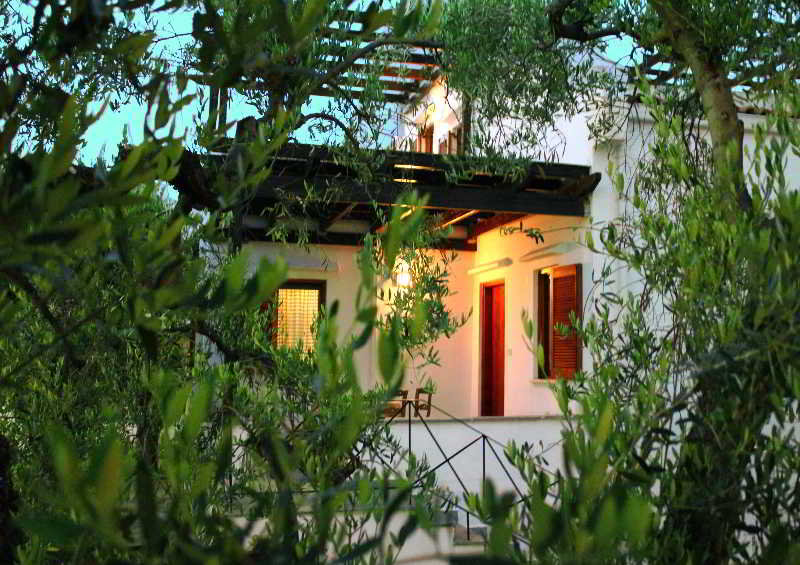 Trikorfo Beach  | Gerakini | Halkidiki | Griechenland 16