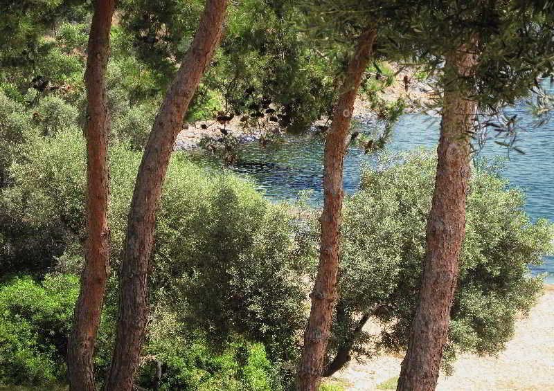 Trikorfo Beach  | Gerakini | Halkidiki | Griechenland 9