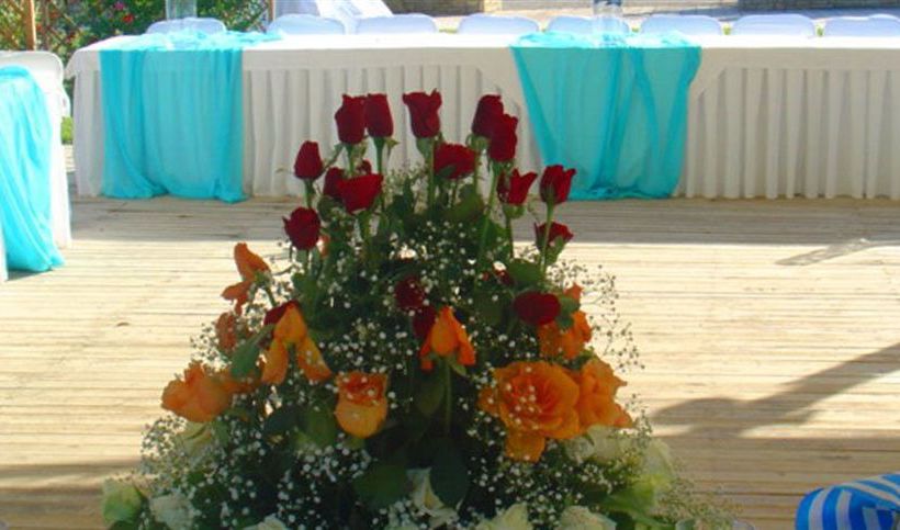 Hotel Avantis Suites  | Eubea | Grecia Central | Grecia 20