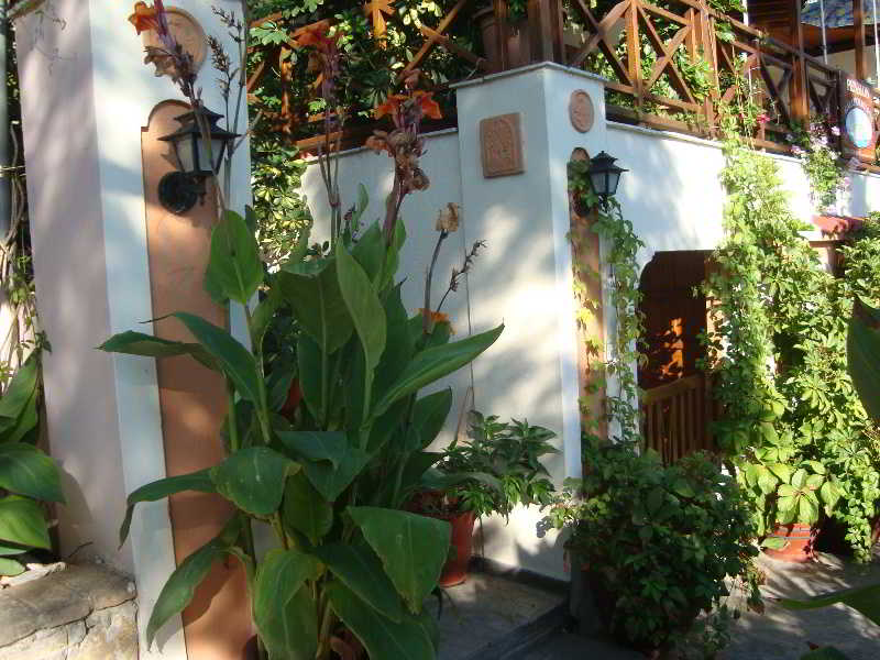 Hotel Galazios Kolpos Pension  | Alonissos | Sporades | Greece 12