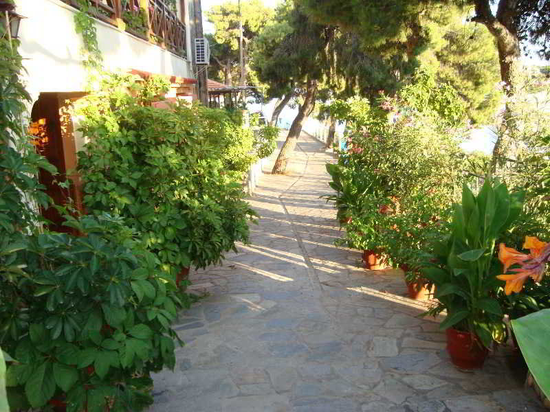 Hotel Galazios Kolpos Pension  | Alonissos | Sporades | Greece 2