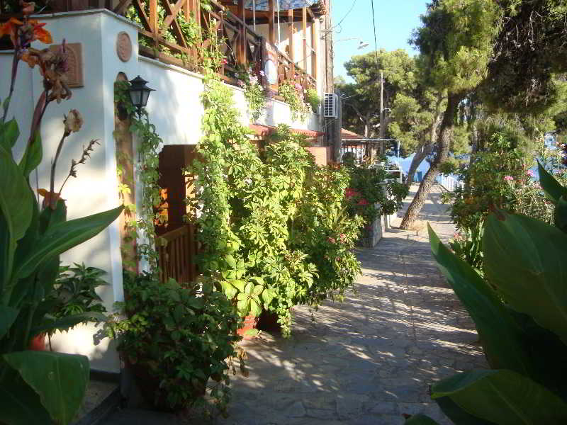 Hotel Galazios Kolpos Pension  | Alonissos | Sporades | Greece 4