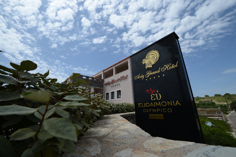 Hotel Arty Grand Olympia Grecia Occidental