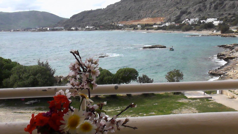 Anthi-maria Studios & Apartments Rodas