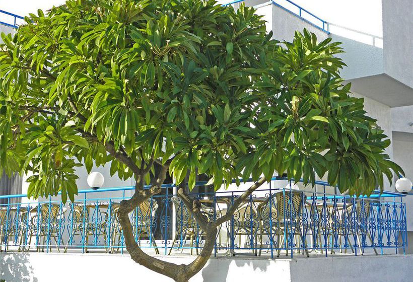 Hotel Summer Breeze Rodas