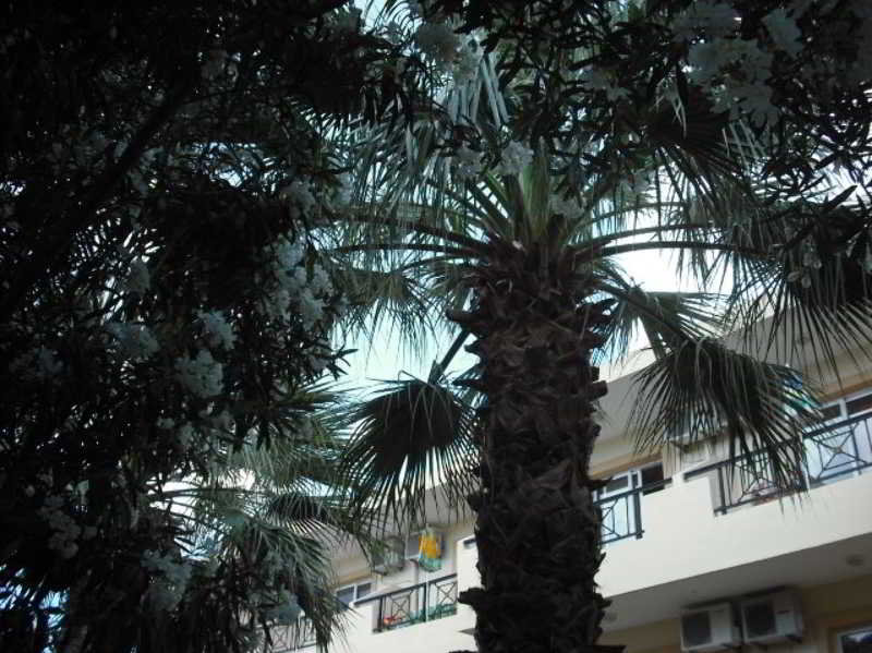 Summer Memories Aparthotel  | Pefkos | Rhodes | Greece 10