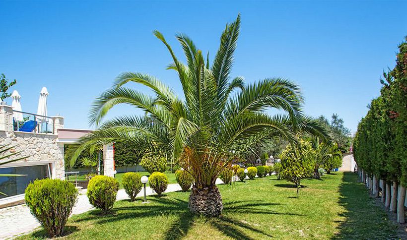 Hotel Anna Maria Paradise  | Kriopigi | Halkidiki | Greece 13