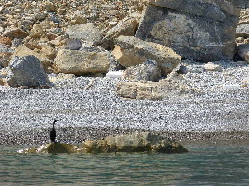 Hotel Pleiades  | Alonissos | Sporades | Greece 13