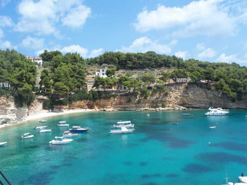 Hotel Pleiades  | Alonissos | Sporades | Greece 18