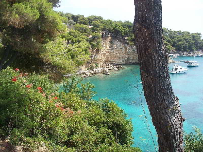 Hotel Pleiades  | Alonissos | Sporades | Greece 3