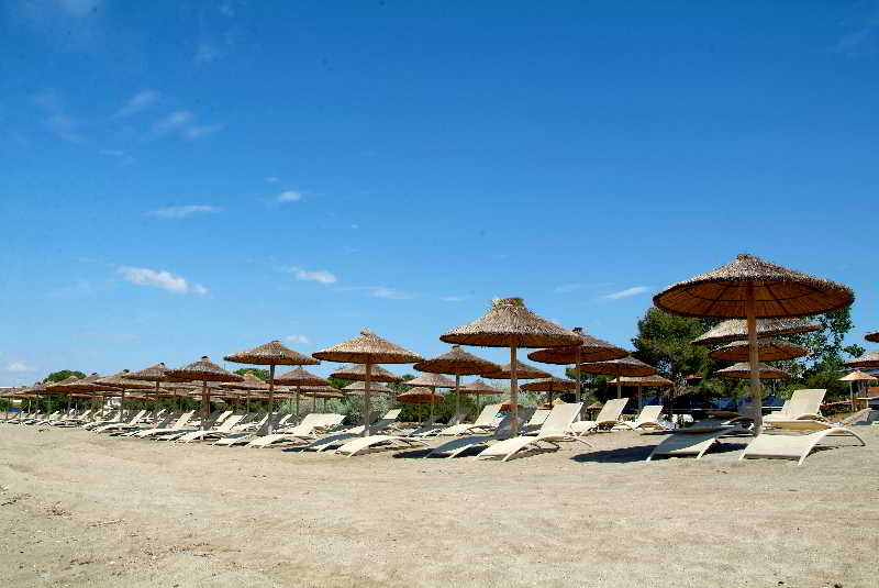 Hotel Coral Blue Beach  | Gerakini | Halkidiki | Greece 3