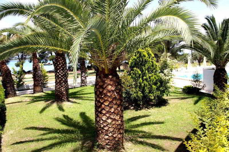 Hotel Rena Halkidiki