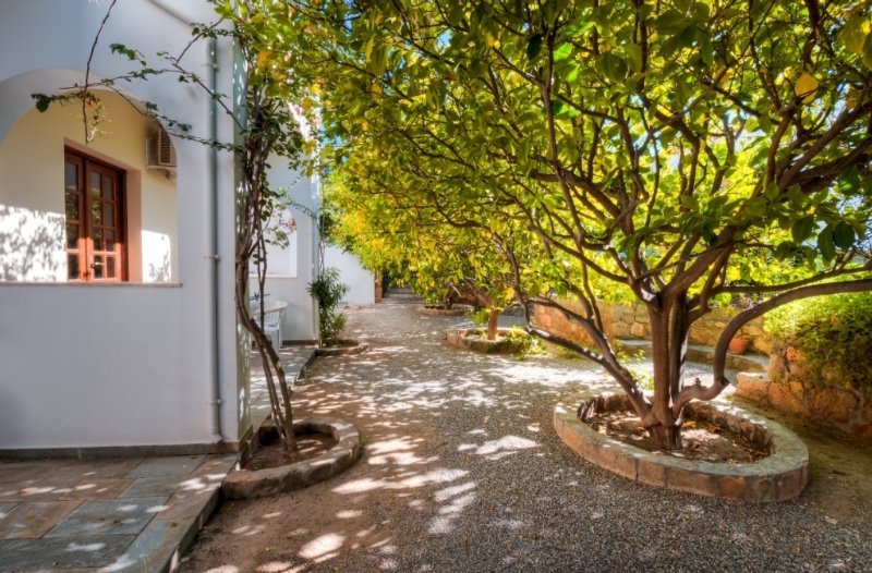 Hotel Lemon Tree Apartments Pefkos