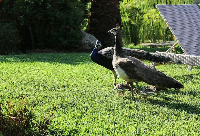 Hotel Achtis  | Afitos | Halkidiki | Greece 11