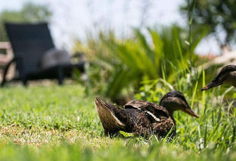 Hotel Achtis  | Afitos | Halkidiki | Greece 12