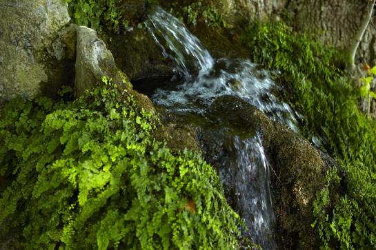 Hotel Alkyonis  | Platamonas | Central Macedonia | Greece 10