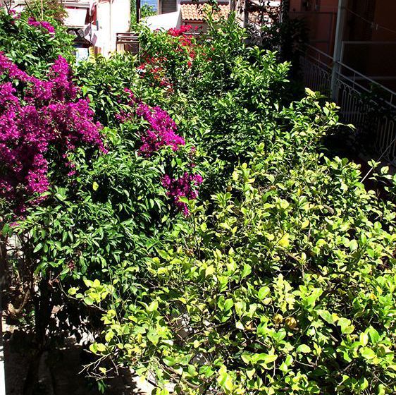 Avra Budget Beach Hotel  | Benitses | Corfu | Greece 11