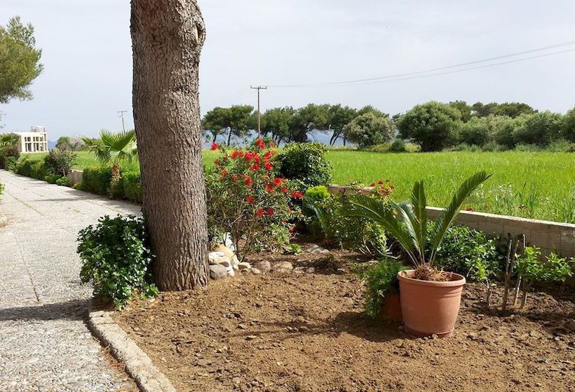 Blue Nest Hotel  | Tigaki | Cos | Grèce 9