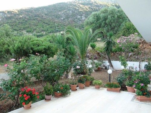 Filoxenia Hotel & Apartments  | Poros | Kefalonia | Greece 18