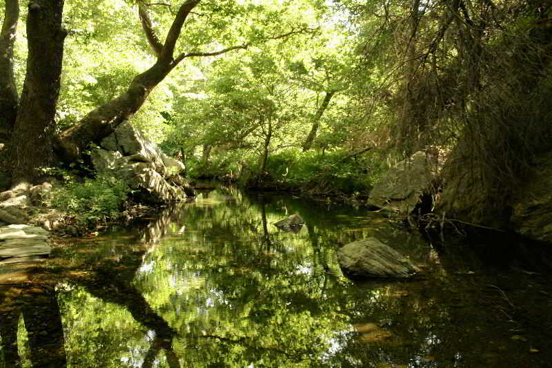 Hotel Onar  | Andros | Cyclades | Greece 10