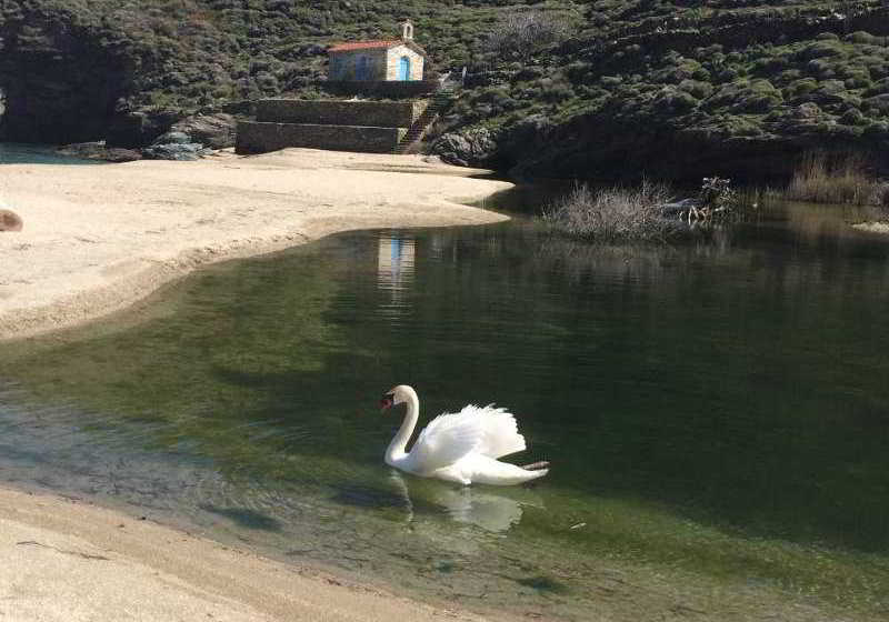 Hotel Onar  | Andros | Cyclades | Greece 8