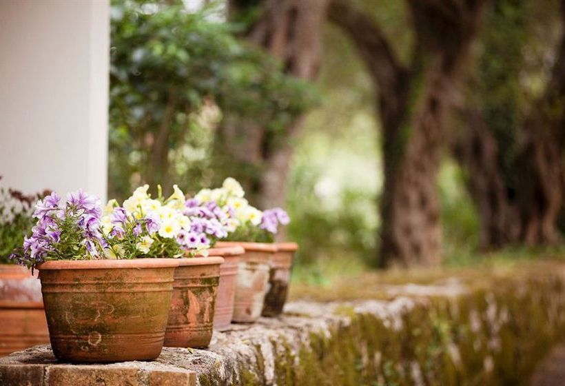 Pelecas Country Club  | Pelekas | Corfu | Greece 10