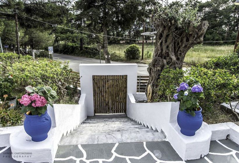 Hotel Pine Trees  | Ixia | Rhodes | Greece 12