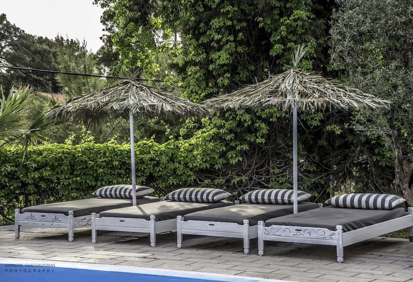 Hotel Pine Trees  | Ixia | Rhodes | Greece 14