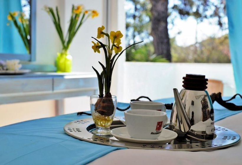 Hotel Pine Trees  | Ixia | Rhodes | Greece 7