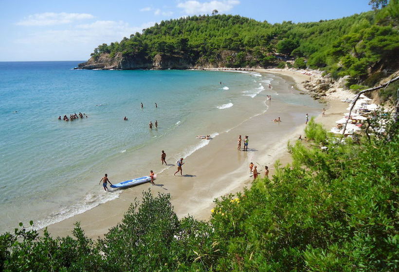 Hotel Alonissos Beach  | Alonissos | Sporades | Greece 20