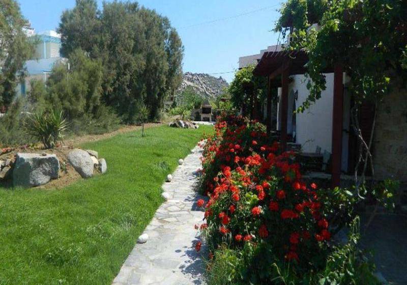 Acti Plaka  | Naxos | Naxos | Griechenland 5