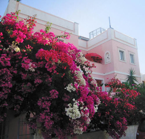 Villa Rodanthos  | Aegina | Saronic Islands | Greece 13