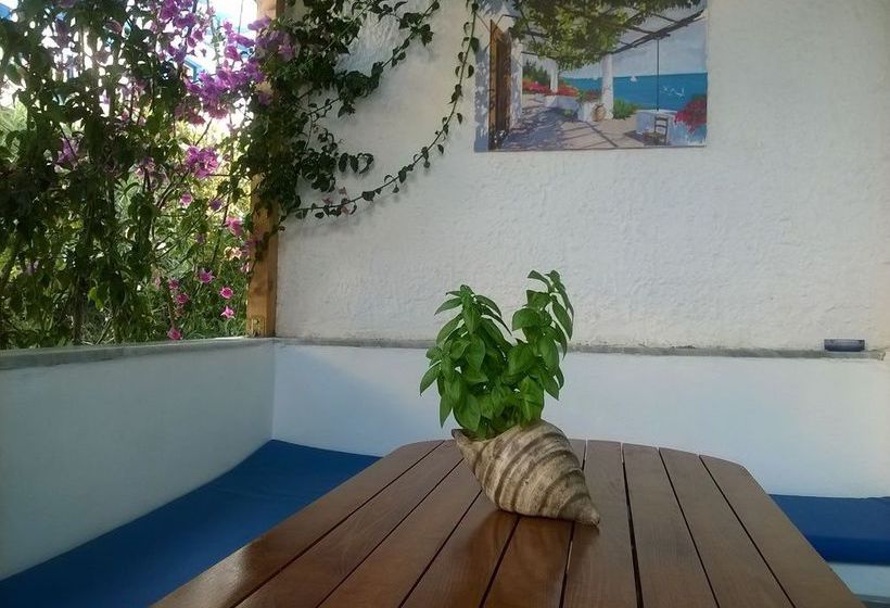 Hotel Delfini  | Naxos | Naxos Island | Greece 14