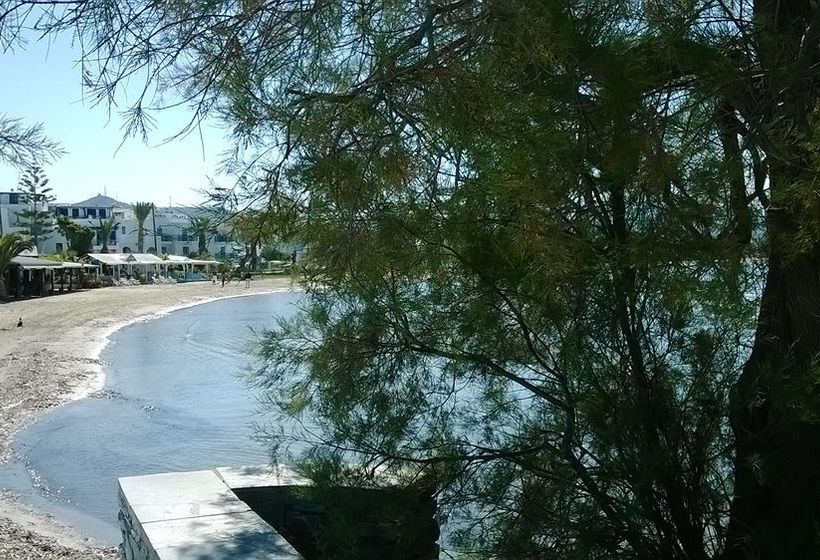 Hotel Delfini  | Naxos | Naxos Island | Greece 9