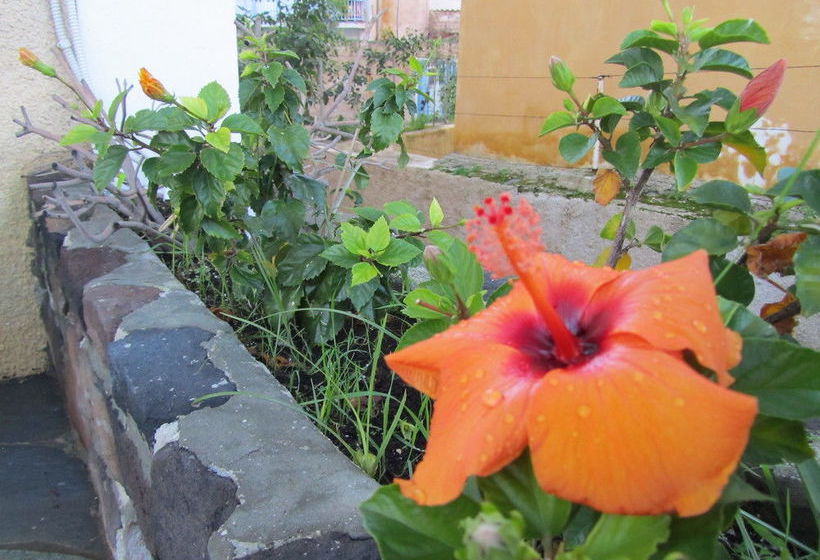 Hotel Aegina  | Aegina | Saronic Islands | Greece 5