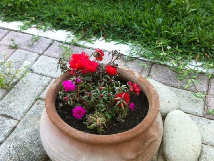 Casa Di Sonia  | Argostoli | Kefalonia | Greece 19