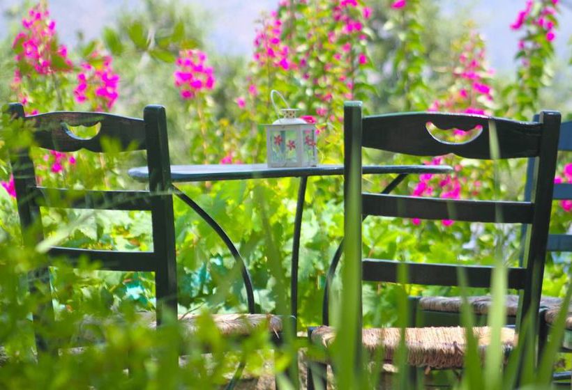 Casa Di Sonia  | Argostoli | Kefalonia | Greece 5