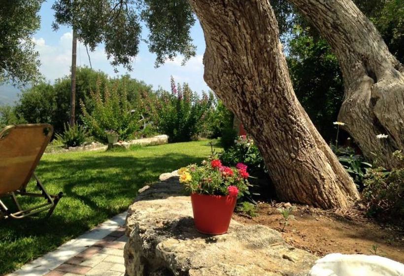 Casa Di Sonia  | Argostoli | Kefalonia | Greece 8