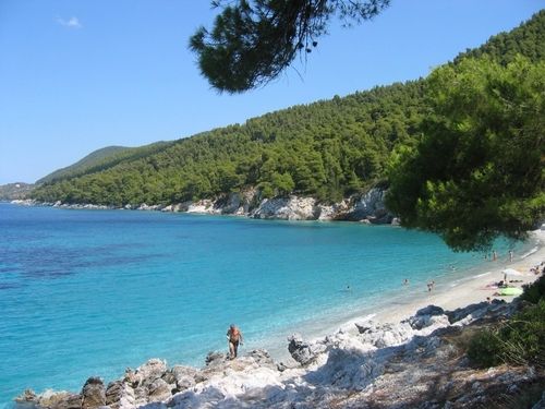 Hovolo Hotel & Apartments  | Skopelos | Sporades | Greece 20