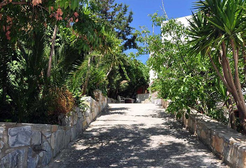 Pension Petrino  | Naxos | Naxos Island | Greece 1