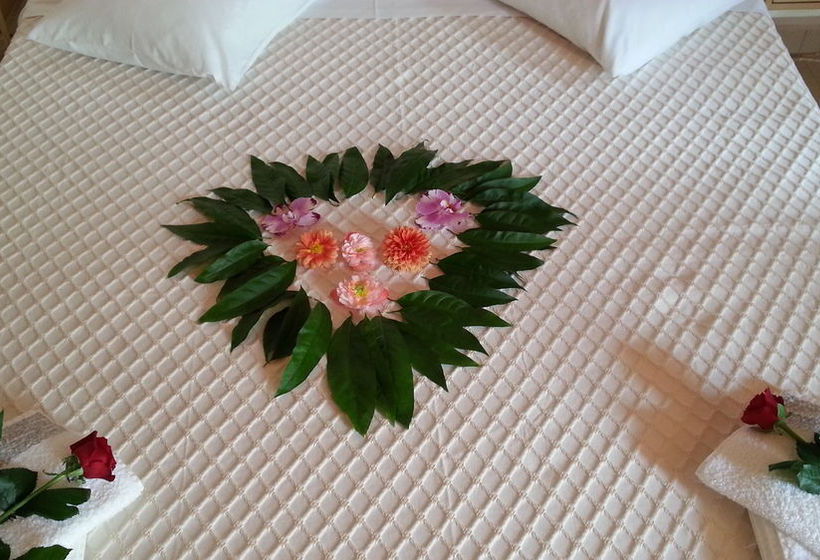 Antony Studios & Apartments  | Naxos | Naxos Island | Greece 2