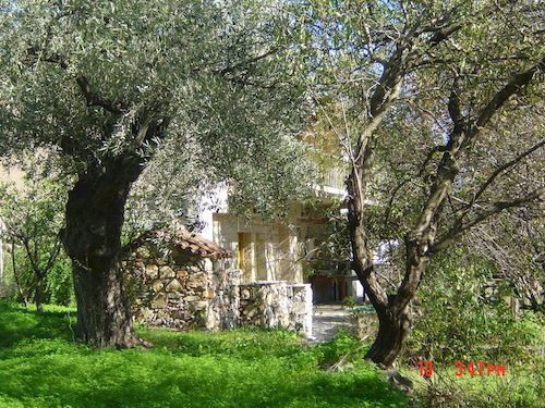 Lithea  | Patitiri - Alonissos | Sporades | Greece 14