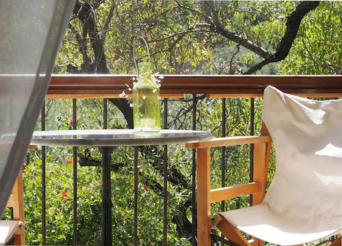 Lithea  | Patitiri - Alonissos | Sporades | Greece 15