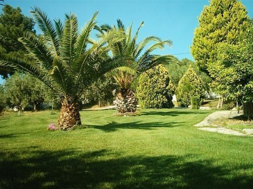 Villa Kalliopi  | Gerakini | Halkidiki | Greece 1