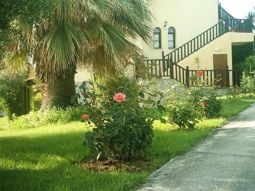 Villa Kalliopi  | Gerakini | Halkidiki | Greece 3