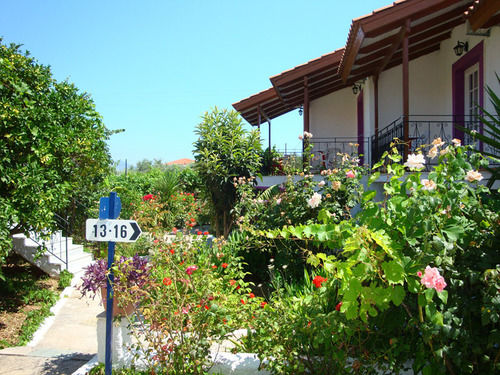 Hotel Terra Mare  | Kefalonia | Kefalonia | Greece 14