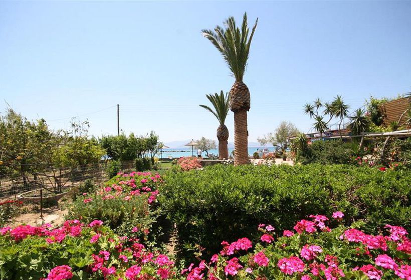 Agia Anna Hotel  | Naxos | Naxos Island | Greece 16