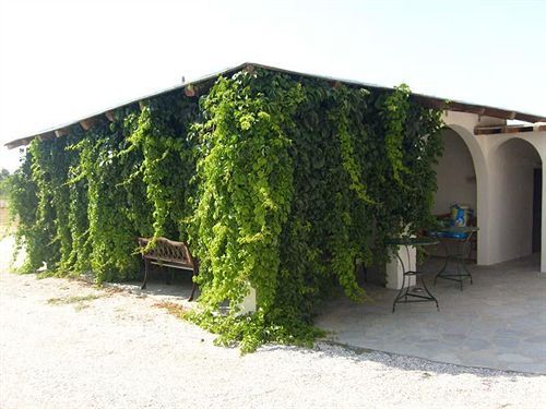 Studios Vrettos  | Naxos | Naxos Island | Greece 17