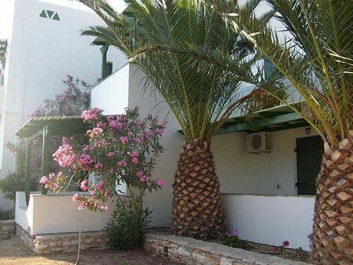 Studios Vrettos  | Naxos | Naxos Island | Greece 19