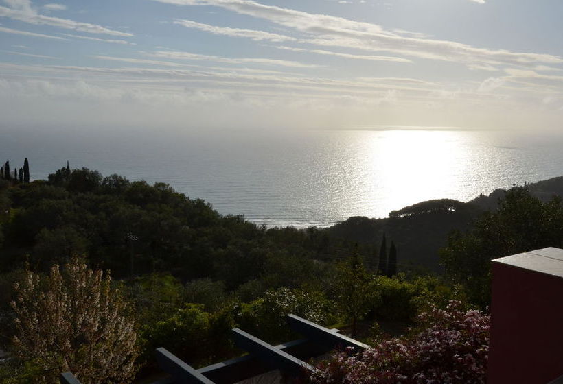 Damo Boutique Hotel Samos  | Samos | Samos | Greece 8